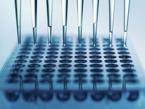 kits_and_assays Kits and assays Amsbio