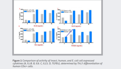 High Activity High Activity