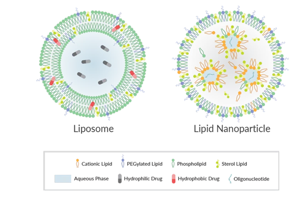Lipid nanoparticle image