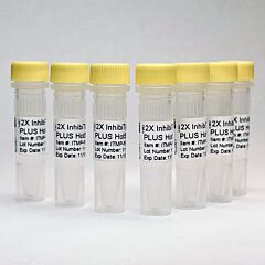 2X InhibiTaq Multiplex PLUS HotStart MasterMix