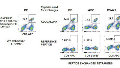 MBL Tetrameren MBL Tetrameren