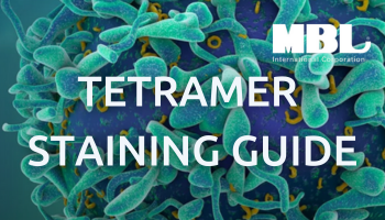 Benefits of utilizing MHC Tetramers for precise identification of antigen-specific T cells