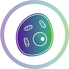 Anti-Calcitonin Gene Related Peptide (human) guinea pig polyclonal, serum