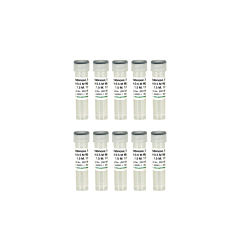 500x Concentrated Arabinose Inducer (10 x 1 ml) (Contains MgCl2 to improve growth of the autolysis strains)